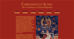 Desktop Screenshot of compassionateaction.info